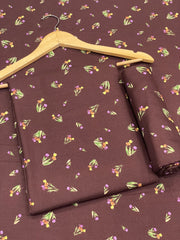 Lawn Cotton 2pc D-96